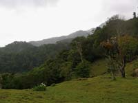 Farm slope and mountain slope