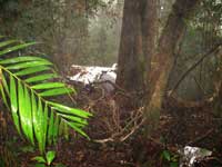 First view of the crash site