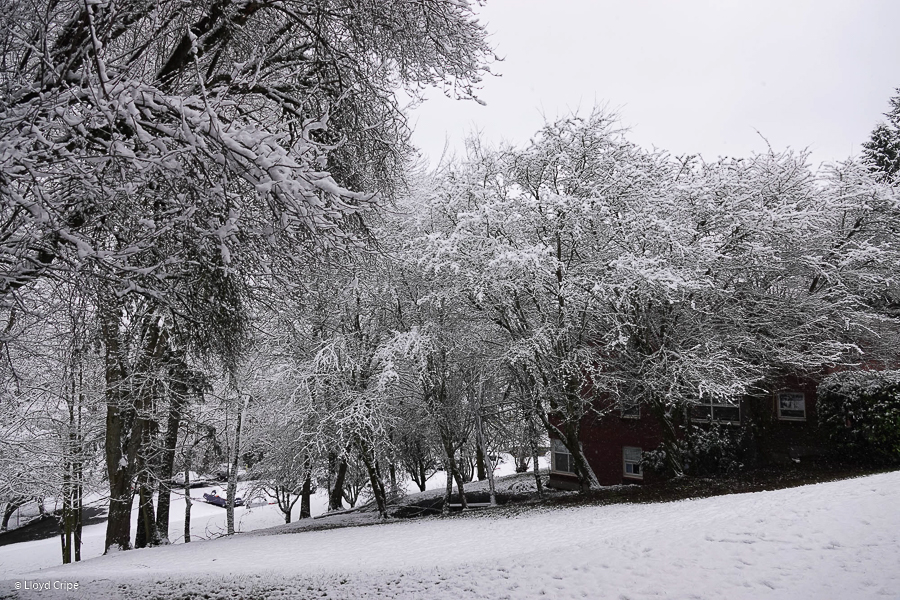 Christmas Snow 2017