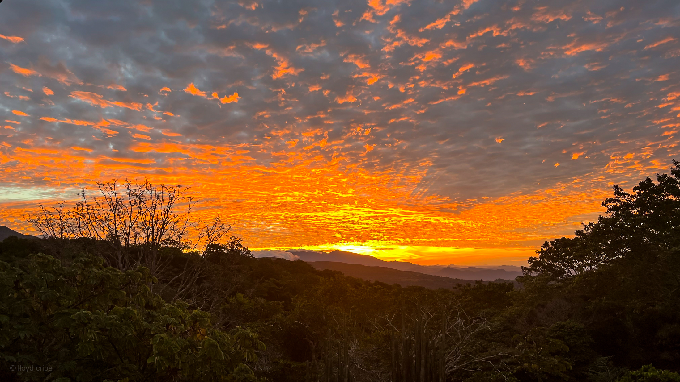 Sunrise December 29