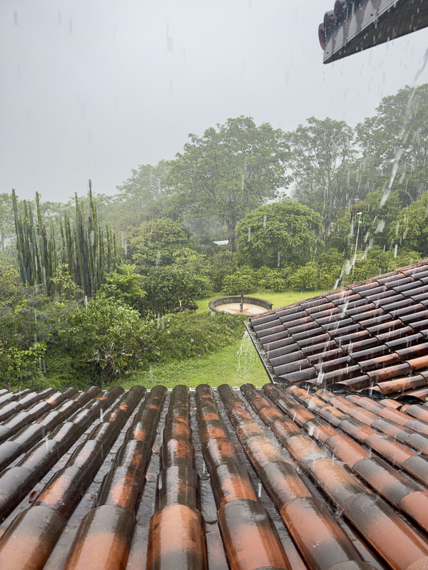 Heavy Rain